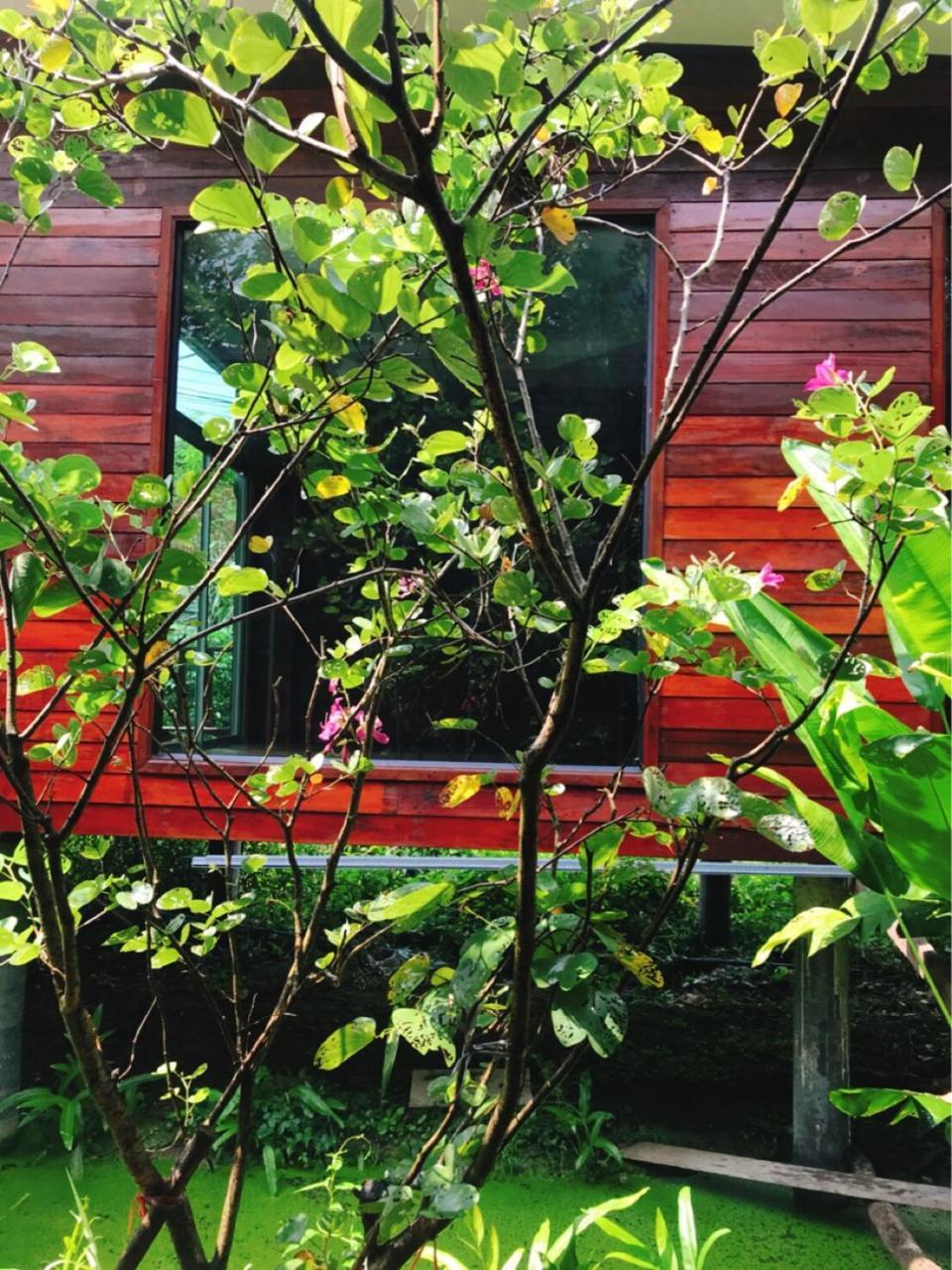 88 Homestay Bang Chak Exterior photo